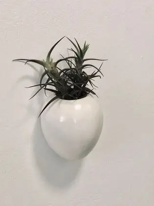 Deluxe Süit, 1 Yatak Odası