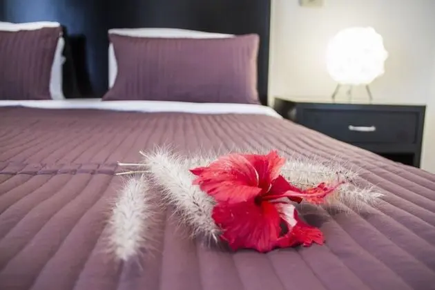 Comfort Stüdyo