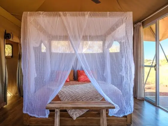 Luxury Çadır