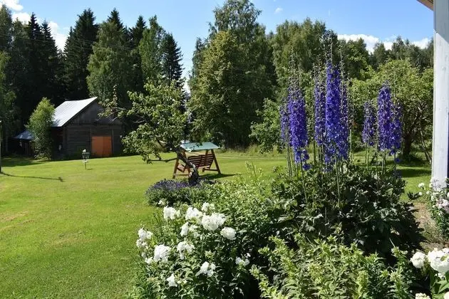 Apart Daire, Bahçe Manzaralı