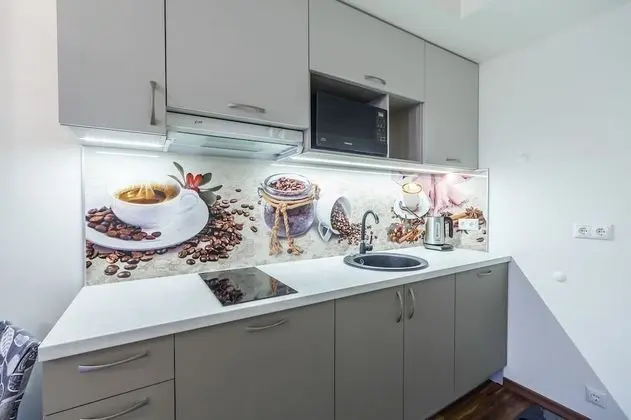 Luxury Apart Daire, 1 Yatak Odası, Şehir Manzaralı