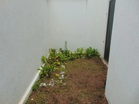 Ev, Sigara İçilmez