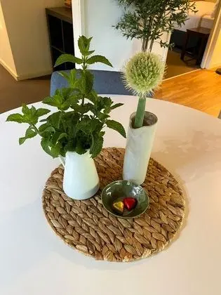 Kır Evi (Argle Apple - Karma Kinglake)