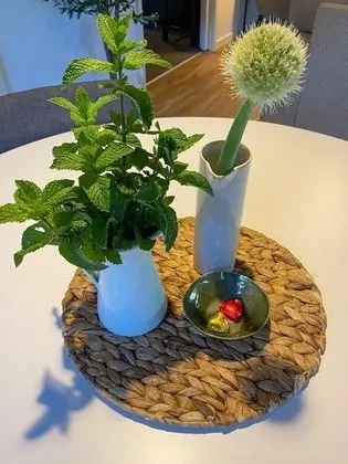 Kır Evi (Argle Apple - Karma Kinglake)