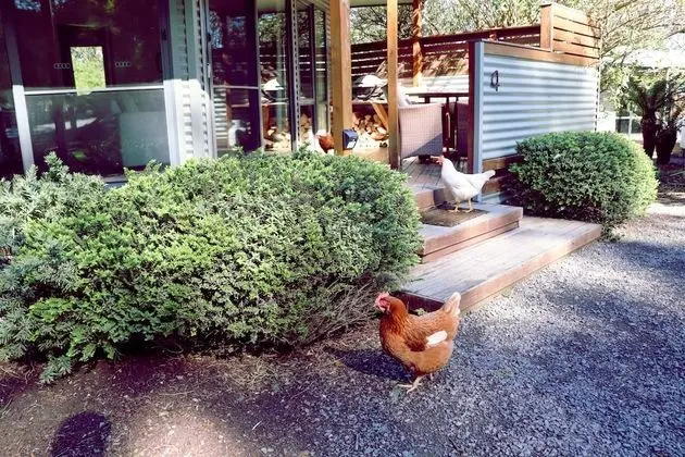 Kır Evi (Silver Princess - Karma Kinglake)