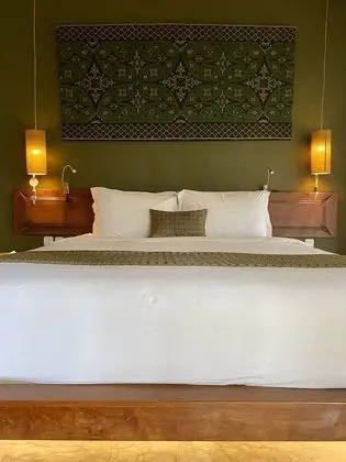 Superior Süit, Sigara İçilmez, Teras (1 King Bed)