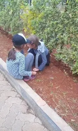 Family Tek Büyük Yataklı Oda, 1 Yatak Odası