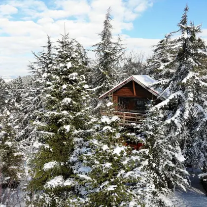 Bungalow, Dağ Manzaralı, Balkonlu