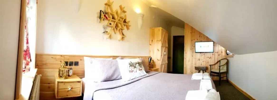 Çatı Katı Standart Oda, Şehir Manzaralı
