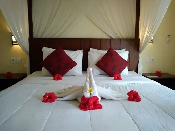 Deluxe Tek Büyük Yataklı Oda, 1 Çift Kişilik Yatak, Sigara İçilebilir