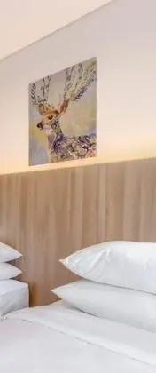 Deluxe Oda, 1 Büyük (Queen) Boy Yatak