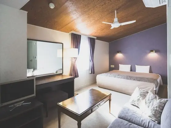 Superior Tek Büyük Yataklı Oda