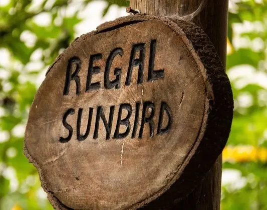 Comfort Dört Kişilik Oda, 1 Yatak Odası, Bahçe Manzaralı (Regal Sunbird)