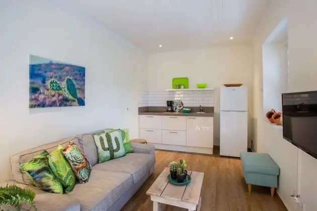 Cozy Cactus ground floor one bedroom apartment, with terrace and shared plunge pool
