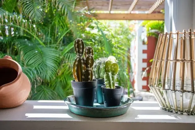 Cozy Cactus ground floor one bedroom apartment, with terrace and shared plunge pool