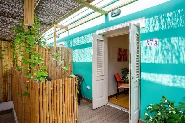 Flamingo Petite ground floor studio, with small terrace and shared plunge pool