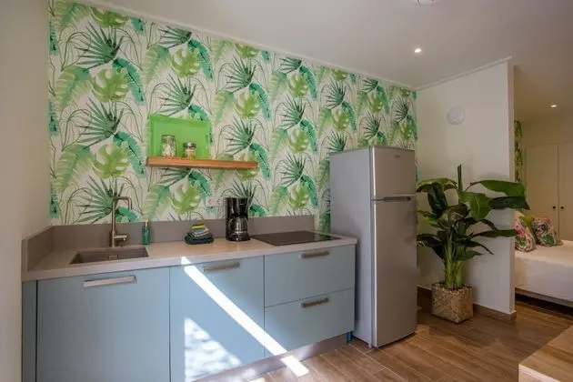 Pretty Prikichi ground floor studio, with terrace and shared plunge pool