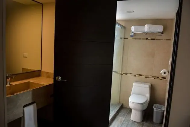 Executive Süit, 1 Yatak Odası, Sigara İçilmez