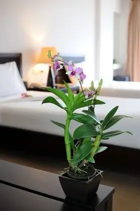 Superior Twin Room with Balcony