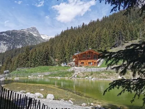 Premium Apart Daire, 1 Yatak Odası, Balkon, Dağ Manzaralı (incl. Lechtal Aktiv Card)