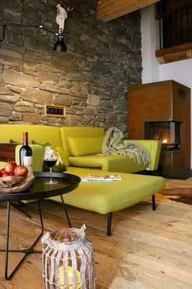 Premium Apart Daire, 1 Yatak Odası, Dağ Manzaralı, Dağ Yamacı (incl. Lechtal Aktiv Card)
