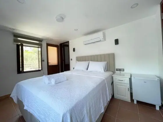 Teras Double Oda, Dağ Manzaralı, Balkonlu