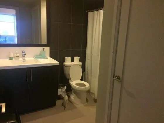 Luxury Çatı Katı Süiti (Penthouse), Şehir Manzaralı