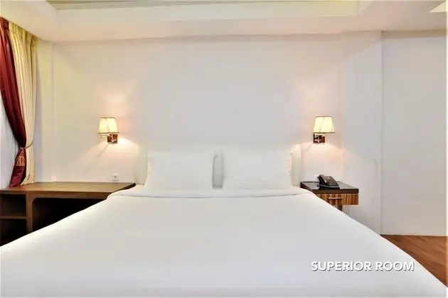 Superior Tek Büyük Yataklı Oda, 1 En Büyük (King) Boy Yatak