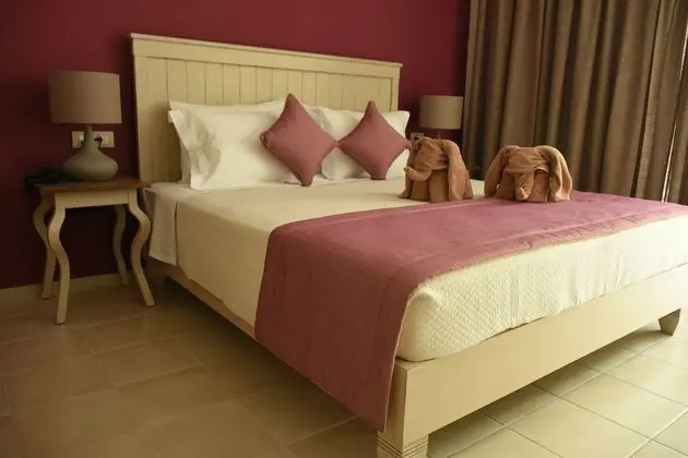 Deluxe Büyük Yataklı Tek Kişilik Oda