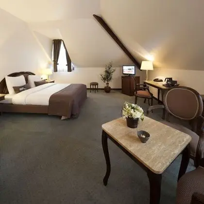 Executive Tek Büyük Yataklı Oda