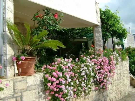 Apart Daire (Kat - 80 m from beach - A1(7))