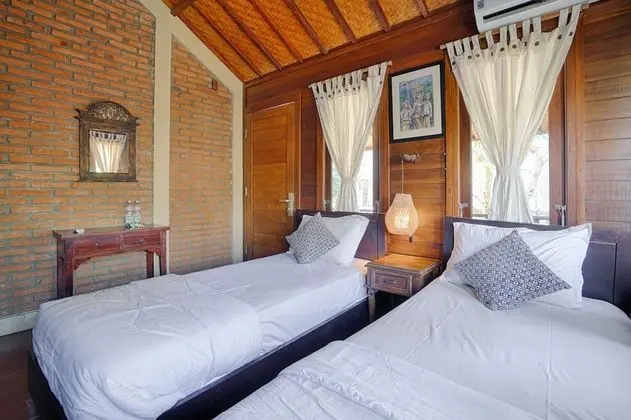 Deluxe Oda, 2 Tek Kişilik Yatak, Sigara İçilmez