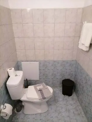 Basic Stüdyo