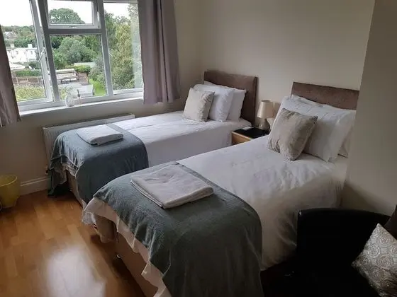 Deluxe Tek Büyük Yataklı Oda, Ortak Banyo, Bahçe Manzaralı