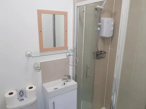 Premium Tek Büyük Yataklı Oda, Banyolu/Duşlu (Room 1)