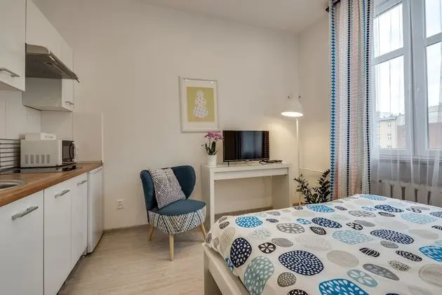 Comfort Stüdyo Süit, 1 Büyük (Queen) Boy Yatak, Özel Banyo