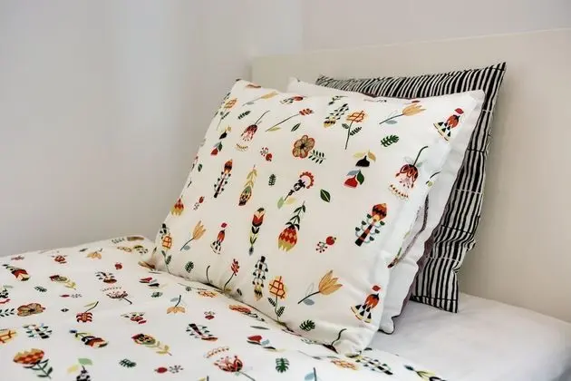 Comfort Stüdyo Süit, 2 Tek Kişilik Yatak, Özel Banyo