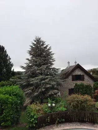 City Süit, Kısmi Göl Manzaralı