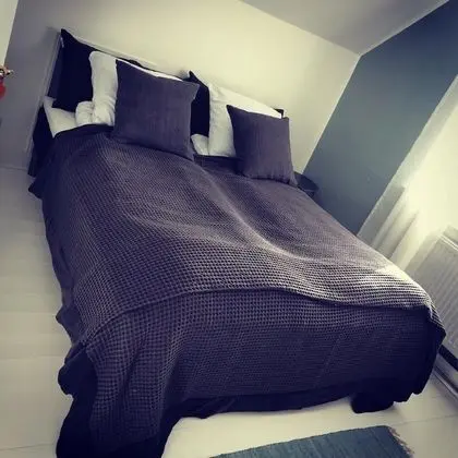 Tek Büyük Yataklı Oda, Ortak Banyo