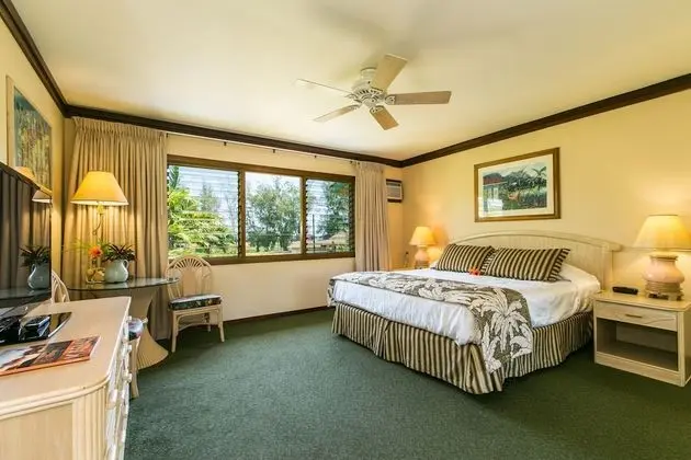 Standard Oda, 1 En Büyük (King) Boy Yatak (No Resort Fee)