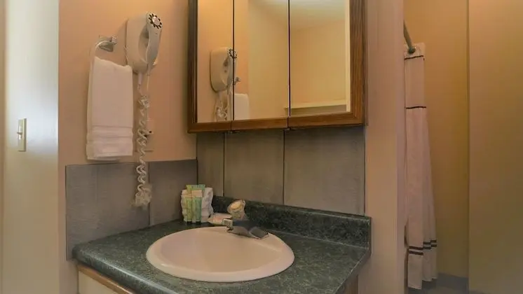 Standard Oda, 1 En Büyük (King) Boy Yatak (No Resort Fee)