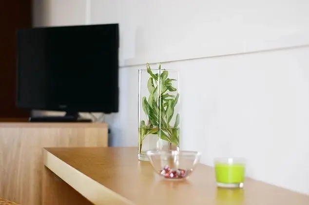 Standard Üç Kişilik Oda, Bahçeli