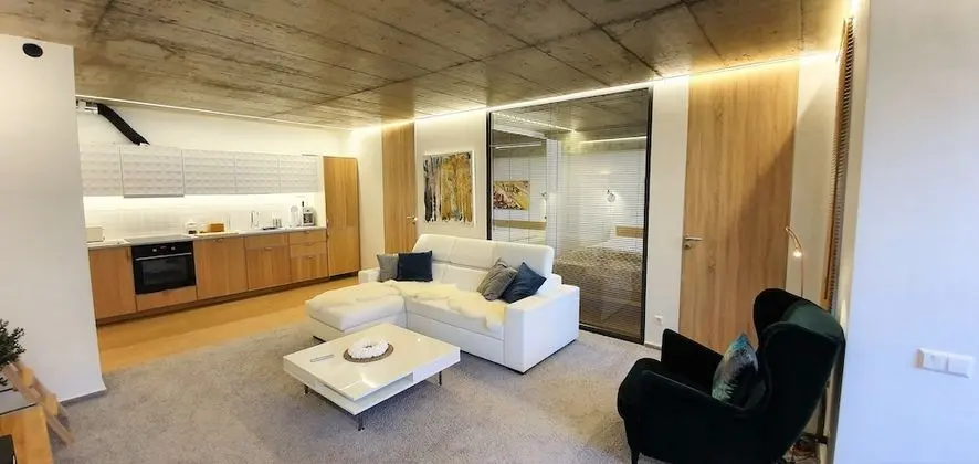 Kauno-Algirdo Luxury Vilnius Appartments