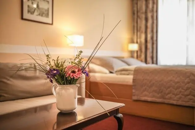 Deluxe Apart Daire, 1 Yatak Odası, Küçük Mutfak, Şehir Manzaralı