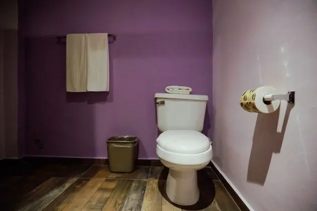 Standard Tek Büyük Yataklı Oda, 1 En Büyük (King) Boy Yatak, Banyolu/Duşlu, Şehir Manzaralı