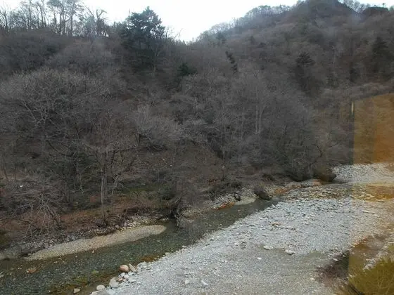 Standard Oda, Sigara İçilebilir (Japanese Style)