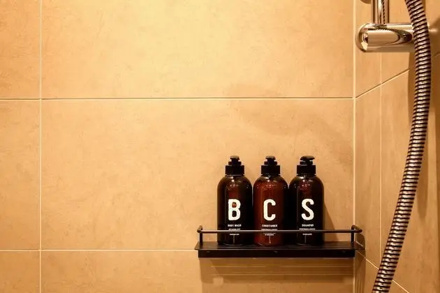 Superior Tek Büyük Yataklı Oda, 1 Çift Kişilik Yatak, Sigara İçilmez
