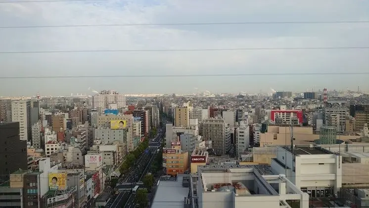Executive Tek Büyük Yataklı Oda, 1 Büyük (Queen) Boy Yatak, Sigara İçilmez, Şehir Manzaralı