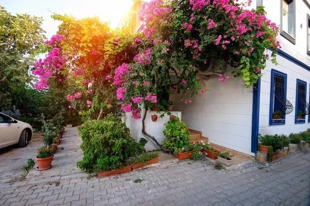 Apartment,bahçe Manzaralı,zemin Kat