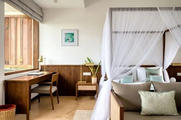 Palm Suite with Jacuzzi with One Free 60 min Spa treatment
